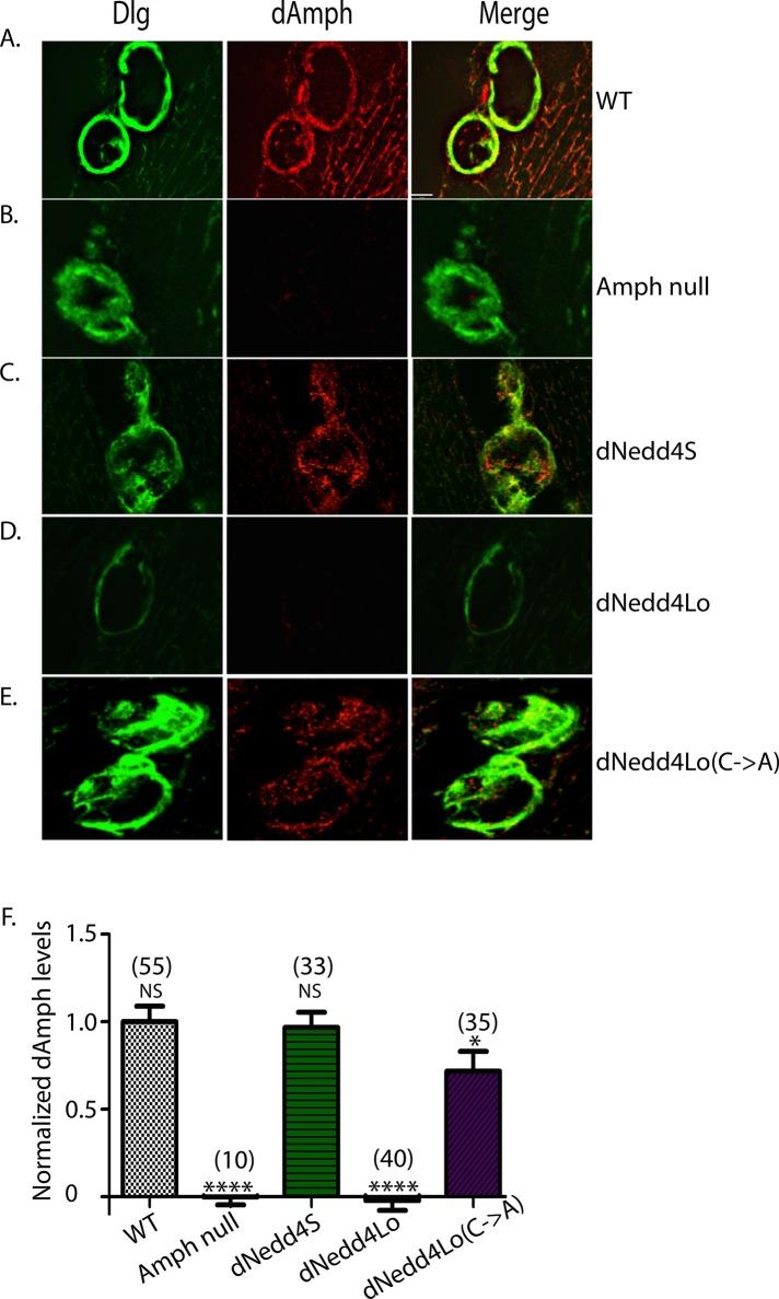 https://cdn.ncbi.nlm.nih.gov/pmc/blobs/1339/4791135/aca3f5d725f2/907fig4.jpg