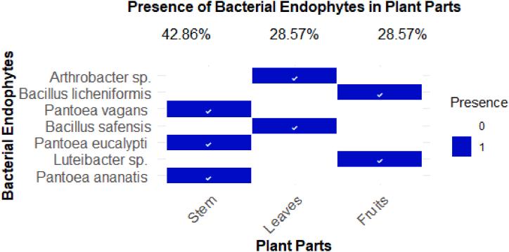 https://cdn.ncbi.nlm.nih.gov/pmc/blobs/133b/11786630/a285cc65c8c7/gr2.jpg