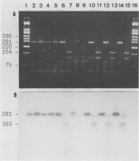 https://cdn.ncbi.nlm.nih.gov/pmc/blobs/133c/269700/821665b447d4/jcm00037-0071-a.jpg