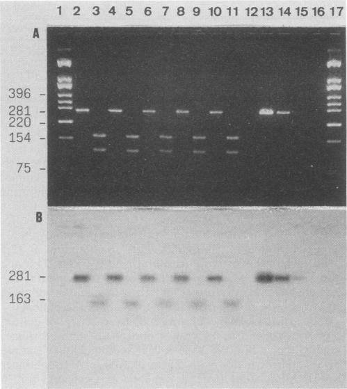 https://cdn.ncbi.nlm.nih.gov/pmc/blobs/133c/269700/b2fe745ac63a/jcm00037-0070-a.jpg