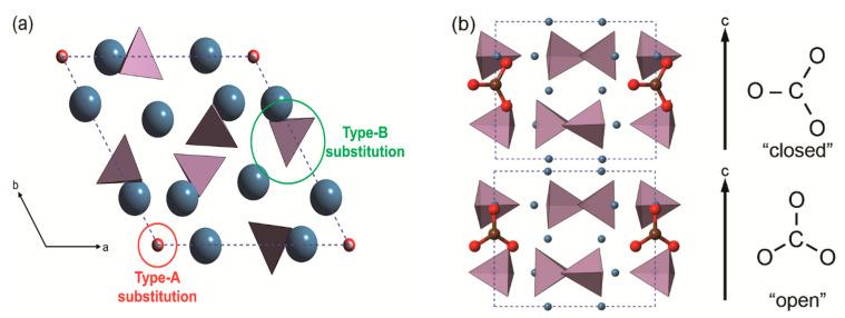 https://cdn.ncbi.nlm.nih.gov/pmc/blobs/133c/8152500/091c67b3e247/biomolecules-11-00728-g003.jpg