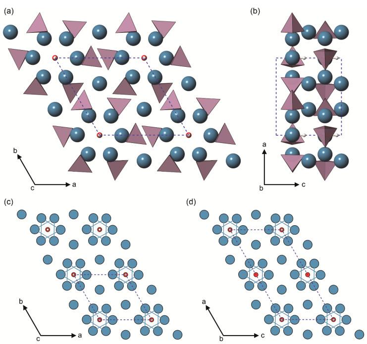 https://cdn.ncbi.nlm.nih.gov/pmc/blobs/133c/8152500/2903c5467d14/biomolecules-11-00728-g001.jpg