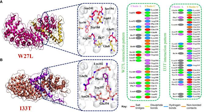 https://cdn.ncbi.nlm.nih.gov/pmc/blobs/133e/10811244/062e832cc638/fimmu-14-1266776-g006.jpg