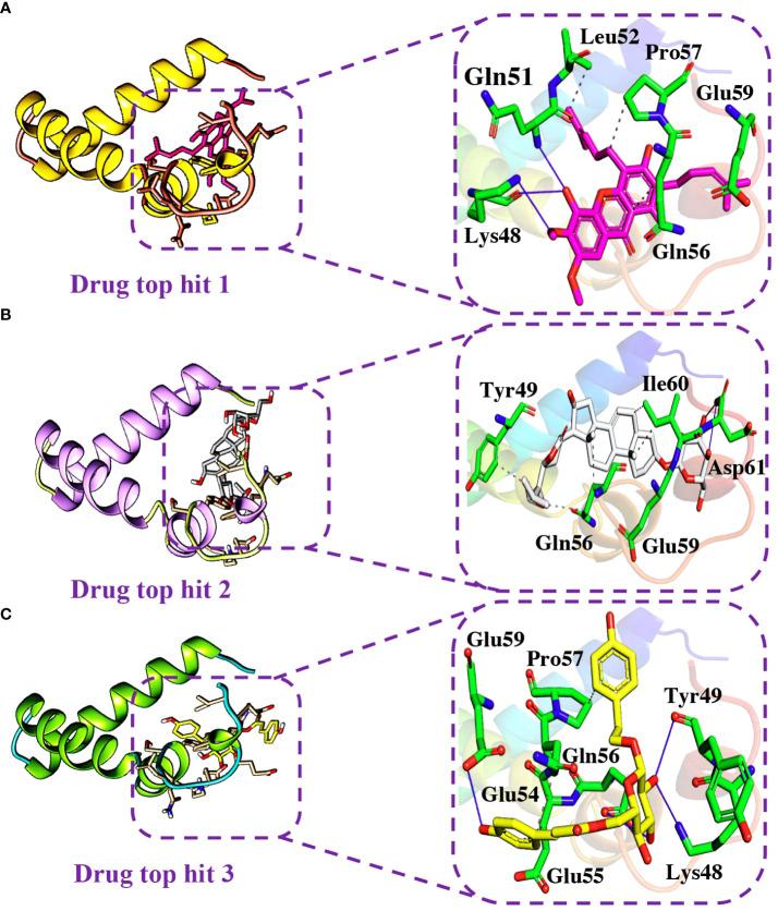 https://cdn.ncbi.nlm.nih.gov/pmc/blobs/133e/10811244/6e79768cd4e2/fimmu-14-1266776-g007.jpg