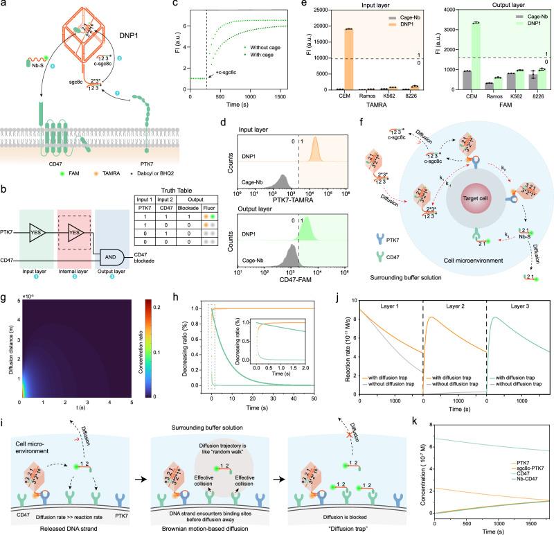 https://cdn.ncbi.nlm.nih.gov/pmc/blobs/1340/11754784/07a2c7848c3c/41467_2025_56219_Fig2_HTML.jpg