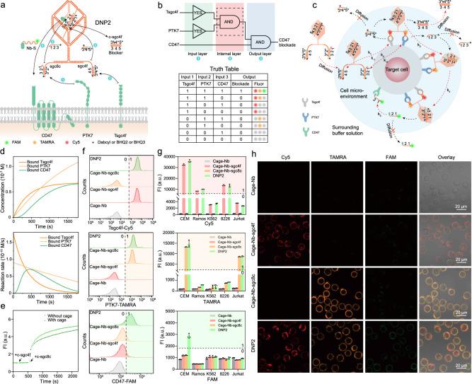 https://cdn.ncbi.nlm.nih.gov/pmc/blobs/1340/11754784/468054145180/41467_2025_56219_Fig3_HTML.jpg