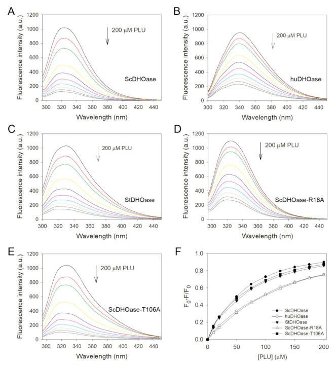 https://cdn.ncbi.nlm.nih.gov/pmc/blobs/1343/8267945/40f78465e45e/ijms-22-06861-g007.jpg
