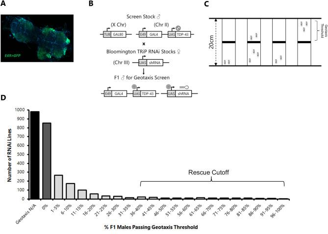 https://cdn.ncbi.nlm.nih.gov/pmc/blobs/1345/8584670/52f5c91dd3d9/pgen.1009882.g001.jpg
