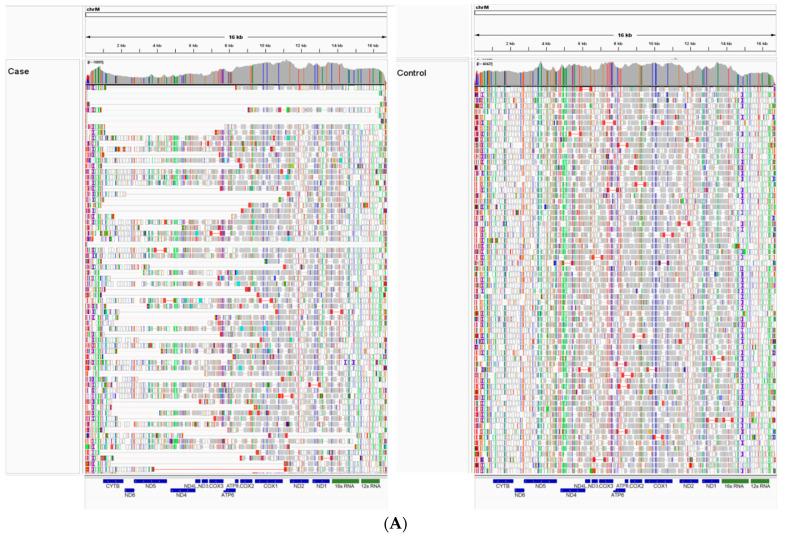 https://cdn.ncbi.nlm.nih.gov/pmc/blobs/1347/11240360/7b5c0ecf21a4/animals-14-01946-g003a.jpg