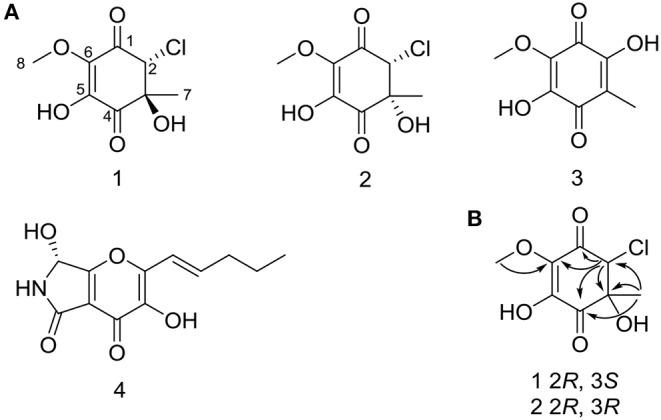 https://cdn.ncbi.nlm.nih.gov/pmc/blobs/1347/7186497/4c9f95a92f80/fchem-08-00270-g0002.jpg