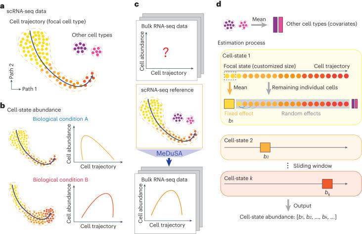 https://cdn.ncbi.nlm.nih.gov/pmc/blobs/1348/10766563/0505ff414e70/43588_2023_487_Fig1_HTML.jpg