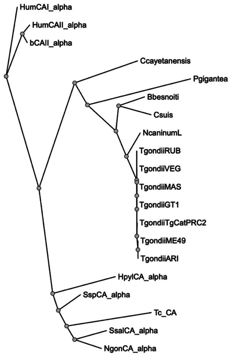 https://cdn.ncbi.nlm.nih.gov/pmc/blobs/1349/11163988/9b5d75d1ff47/IENZ_A_2346523_F0003_B.jpg