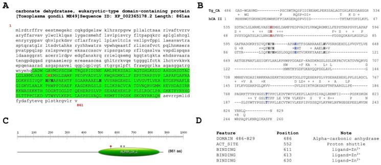 https://cdn.ncbi.nlm.nih.gov/pmc/blobs/1349/11163988/aeb7051385e8/IENZ_A_2346523_F0001_C.jpg