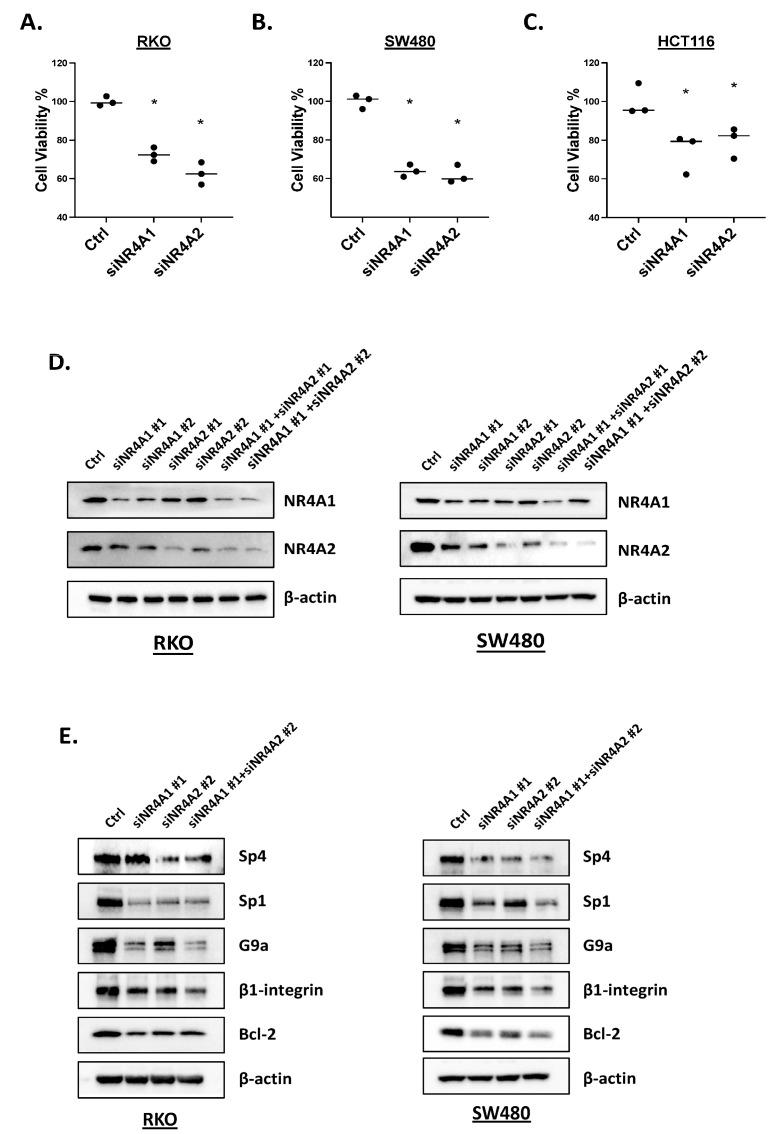 https://cdn.ncbi.nlm.nih.gov/pmc/blobs/134a/12028307/4568fff51f0c/ijms-26-03909-g002.jpg