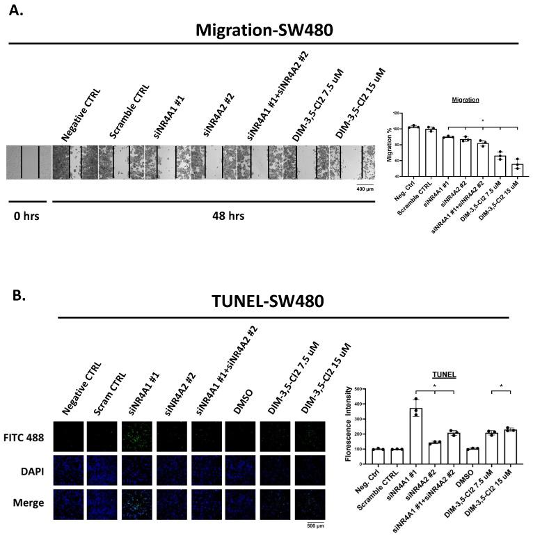 https://cdn.ncbi.nlm.nih.gov/pmc/blobs/134a/12028307/7624771b52a1/ijms-26-03909-g004.jpg