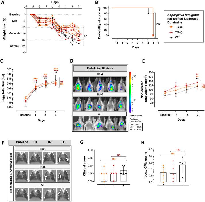 https://cdn.ncbi.nlm.nih.gov/pmc/blobs/134a/8990085/c61871d7cd26/dmm-15-049165-g5.jpg