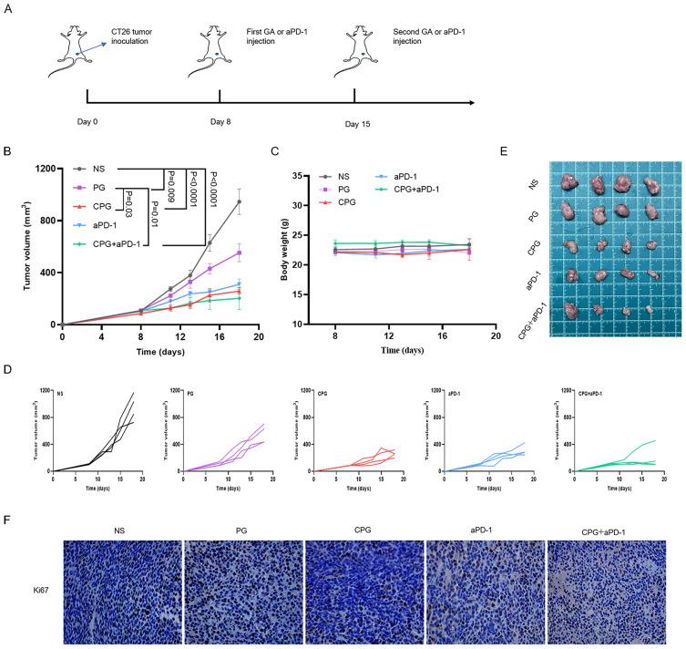 https://cdn.ncbi.nlm.nih.gov/pmc/blobs/134b/10163893/73c337d044b2/IJN-18-2261-g0006.jpg
