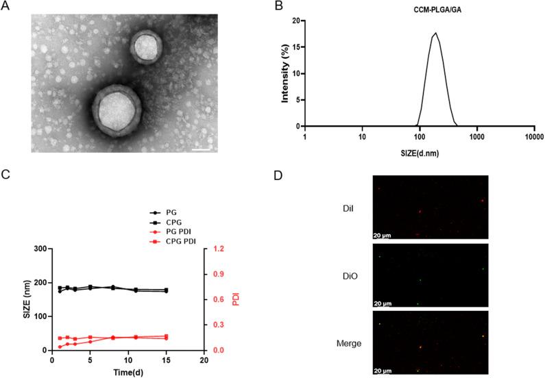 https://cdn.ncbi.nlm.nih.gov/pmc/blobs/134b/10163893/83909150768c/IJN-18-2261-g0002.jpg