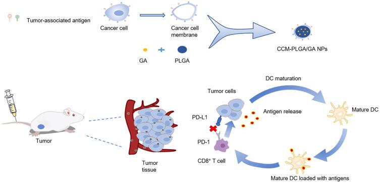 https://cdn.ncbi.nlm.nih.gov/pmc/blobs/134b/10163893/8c9822b190d1/IJN-18-2261-g0001.jpg