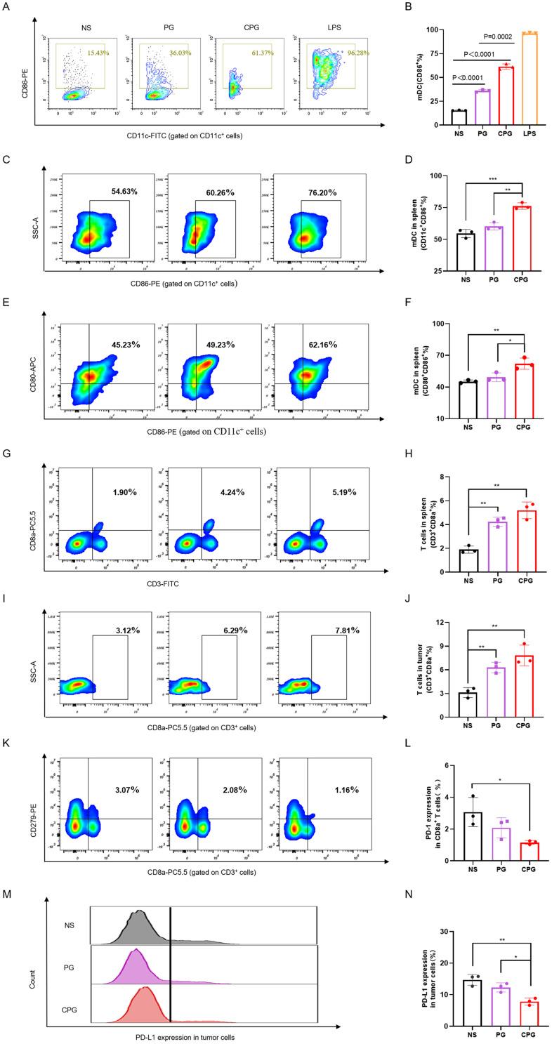 https://cdn.ncbi.nlm.nih.gov/pmc/blobs/134b/10163893/bff2c65f5297/IJN-18-2261-g0005.jpg