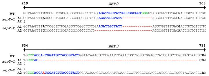 https://cdn.ncbi.nlm.nih.gov/pmc/blobs/134c/11051370/bc0968802b3c/marinedrugs-22-00185-g003.jpg