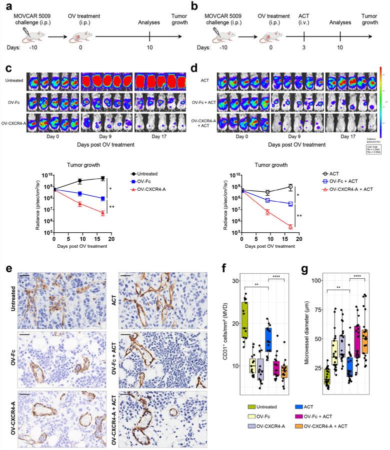 https://cdn.ncbi.nlm.nih.gov/pmc/blobs/134c/11451647/47c25e593c86/nihpp-rs4940287v1-f0001.jpg