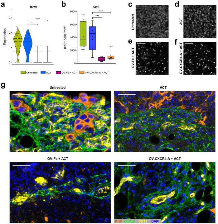 https://cdn.ncbi.nlm.nih.gov/pmc/blobs/134c/11451647/61af924eab27/nihpp-rs4940287v1-f0004.jpg