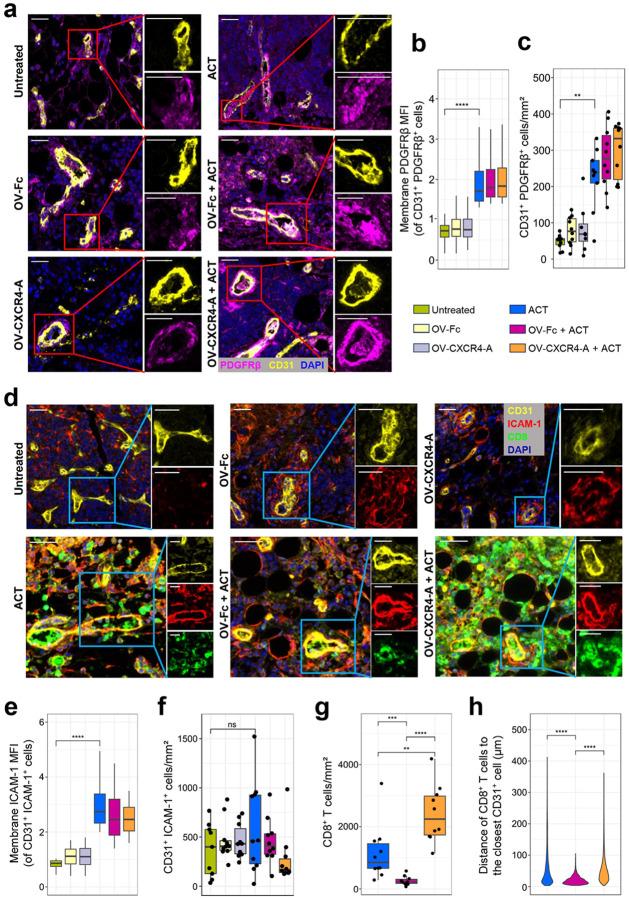 https://cdn.ncbi.nlm.nih.gov/pmc/blobs/134c/11451647/ad3d133b9330/nihpp-rs4940287v1-f0002.jpg