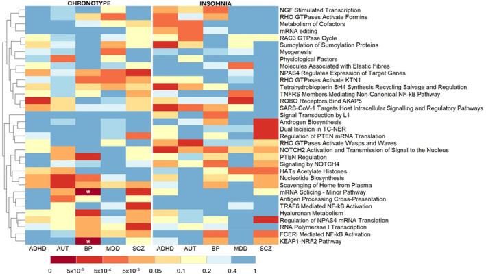 https://cdn.ncbi.nlm.nih.gov/pmc/blobs/134d/11669943/bd5b01be520f/GBB-23-e70011-g004.jpg