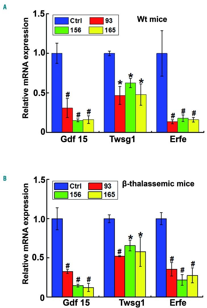 https://cdn.ncbi.nlm.nih.gov/pmc/blobs/134d/6717595/3751bdf59612/1041768.fig4.jpg