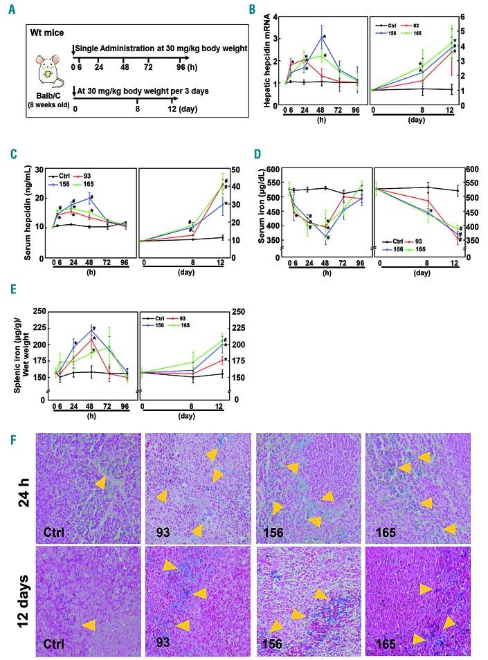 https://cdn.ncbi.nlm.nih.gov/pmc/blobs/134d/6717595/e1c16d41a2d4/1041768.fig2.jpg