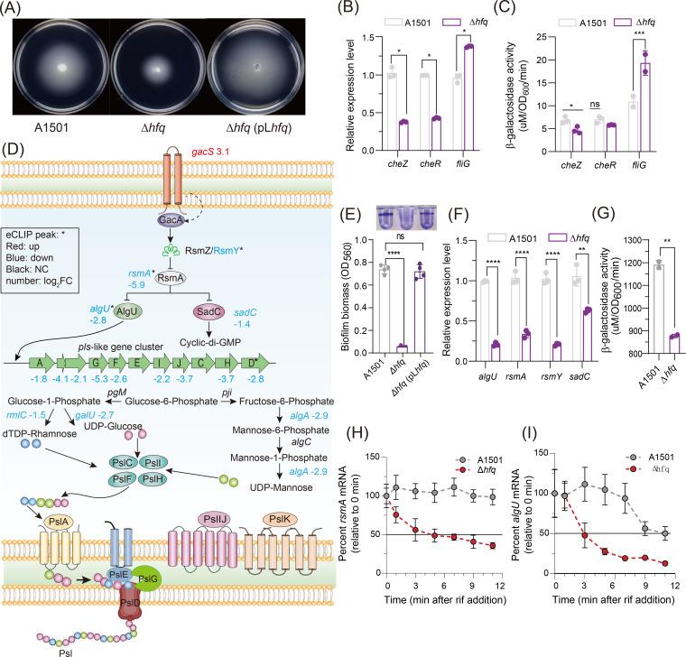 https://cdn.ncbi.nlm.nih.gov/pmc/blobs/134e/11332353/aedfbeab47b9/msphere.00762-23.f003.jpg
