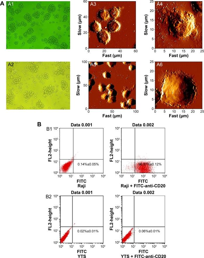 https://cdn.ncbi.nlm.nih.gov/pmc/blobs/134f/5098746/b1e20204b58d/ijn-11-5505Fig3.jpg