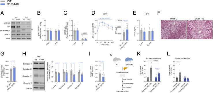 https://cdn.ncbi.nlm.nih.gov/pmc/blobs/134f/9860314/0899e878a1ea/pnas.2119824119fig02.jpg