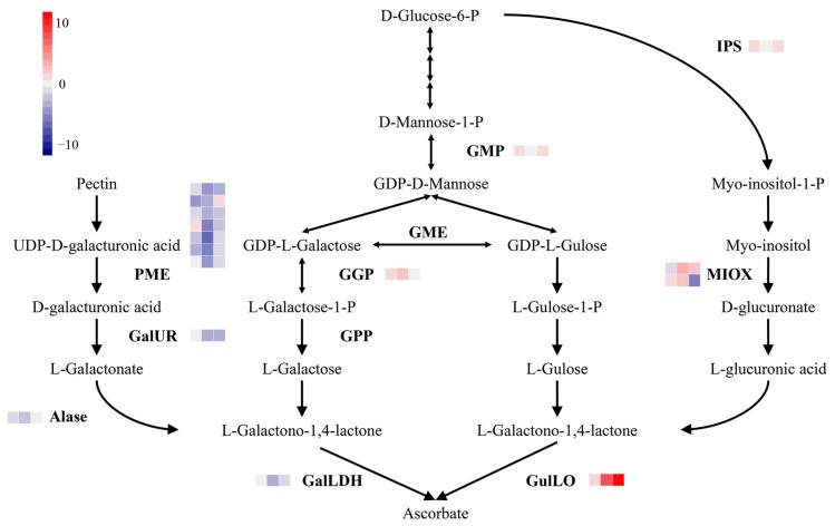 https://cdn.ncbi.nlm.nih.gov/pmc/blobs/1350/10145300/e9e519b2ac3f/ijms-24-07529-g006.jpg