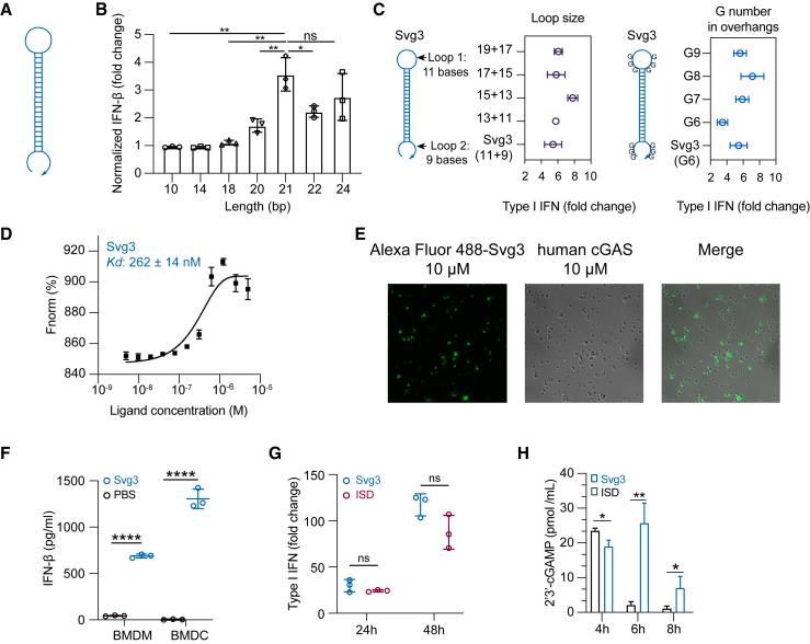 https://cdn.ncbi.nlm.nih.gov/pmc/blobs/1351/10863322/746b25541c1b/gr2.jpg