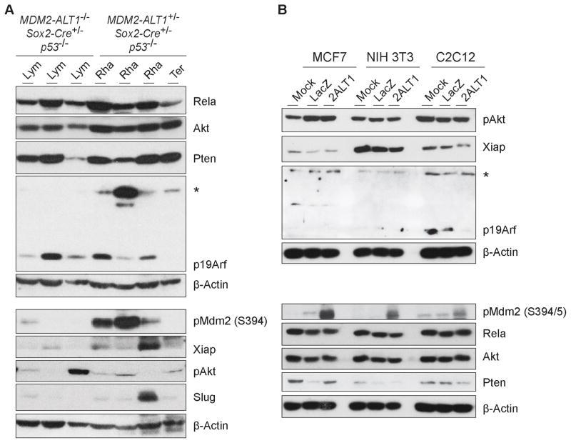 https://cdn.ncbi.nlm.nih.gov/pmc/blobs/1351/5756115/0291cdc27673/nihms886418f4.jpg
