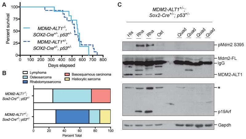 https://cdn.ncbi.nlm.nih.gov/pmc/blobs/1351/5756115/25307b429c38/nihms886418f5.jpg