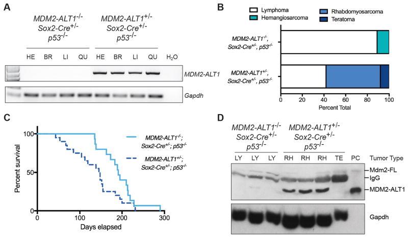 https://cdn.ncbi.nlm.nih.gov/pmc/blobs/1351/5756115/387a690a99b3/nihms886418f2.jpg