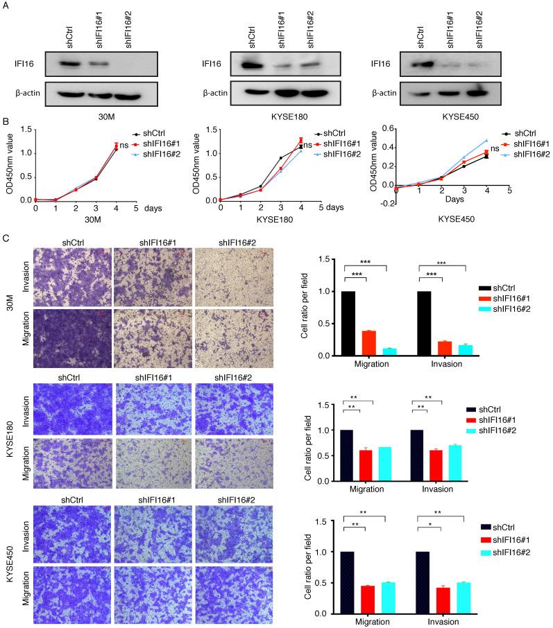 https://cdn.ncbi.nlm.nih.gov/pmc/blobs/1351/8965107/415292000a68/jcav13p1630g003.jpg