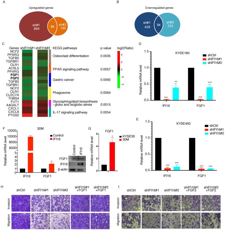 https://cdn.ncbi.nlm.nih.gov/pmc/blobs/1351/8965107/54df5e205fc2/jcav13p1630g005.jpg