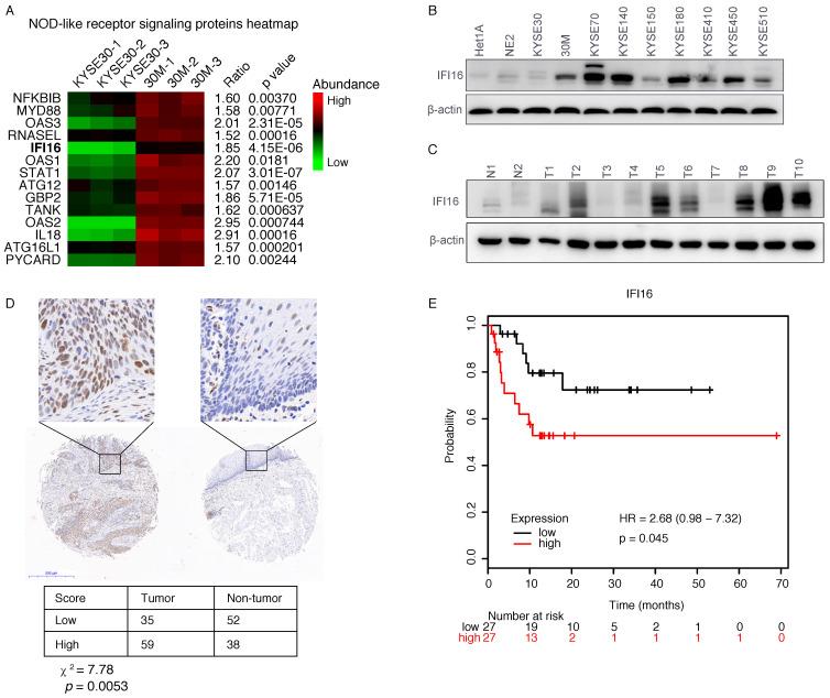https://cdn.ncbi.nlm.nih.gov/pmc/blobs/1351/8965107/709567f418dd/jcav13p1630g002.jpg
