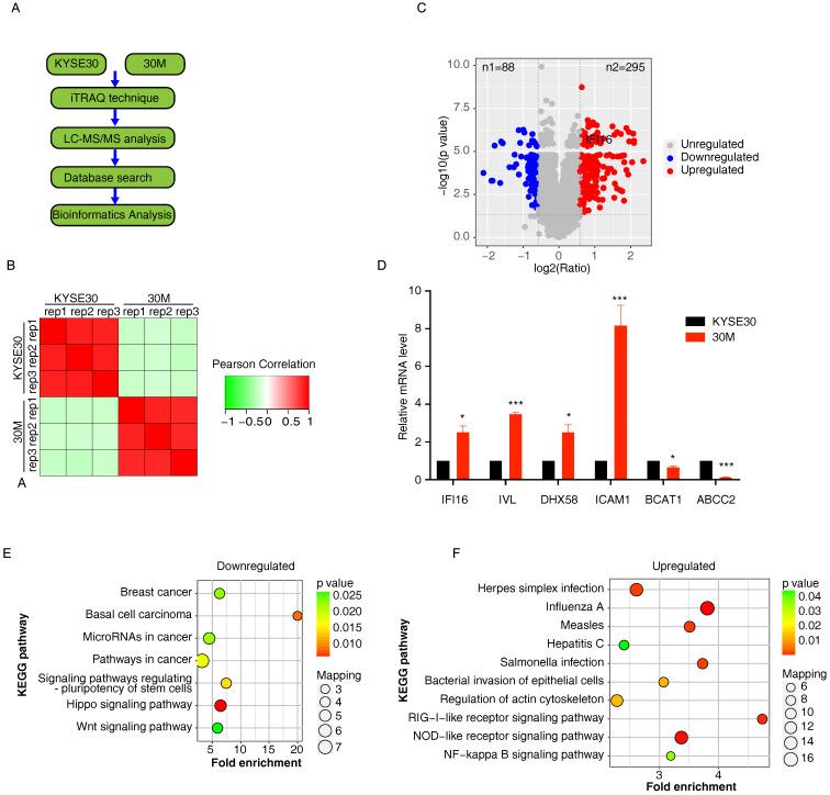 https://cdn.ncbi.nlm.nih.gov/pmc/blobs/1351/8965107/b32e98fa1e33/jcav13p1630g001.jpg
