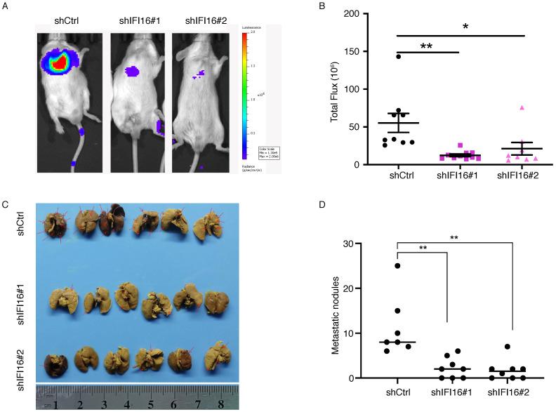 https://cdn.ncbi.nlm.nih.gov/pmc/blobs/1351/8965107/c6adacc826ae/jcav13p1630g004.jpg