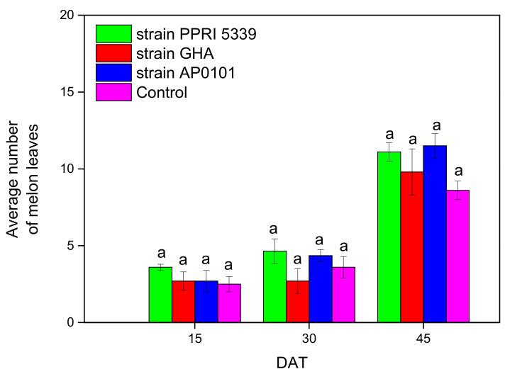 https://cdn.ncbi.nlm.nih.gov/pmc/blobs/1352/9692842/23ca6e90f55c/microorganisms-10-02306-g006.jpg