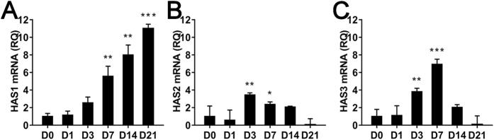 https://cdn.ncbi.nlm.nih.gov/pmc/blobs/1353/5347017/912734d07c91/srep44135-f1.jpg