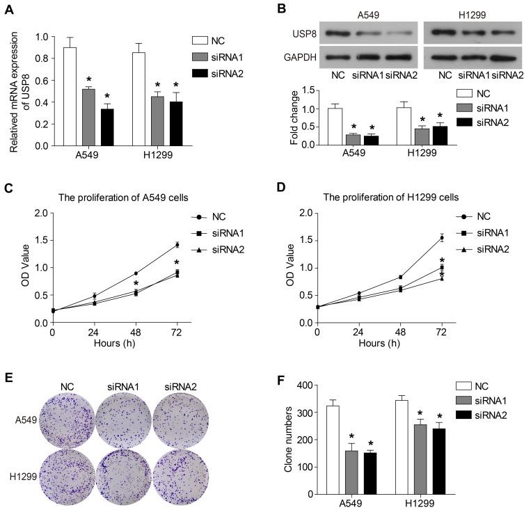 https://cdn.ncbi.nlm.nih.gov/pmc/blobs/1353/7719325/0a180eef8c5c/CMAR-12-12415-g0001.jpg