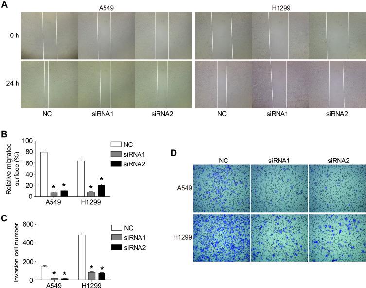 https://cdn.ncbi.nlm.nih.gov/pmc/blobs/1353/7719325/328841c6c5e2/CMAR-12-12415-g0002.jpg