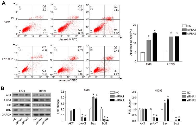 https://cdn.ncbi.nlm.nih.gov/pmc/blobs/1353/7719325/7950d383ee5a/CMAR-12-12415-g0004.jpg
