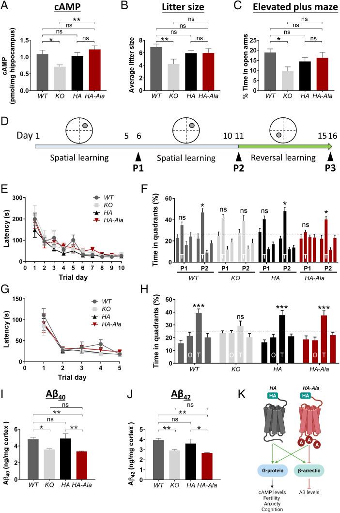 https://cdn.ncbi.nlm.nih.gov/pmc/blobs/1354/9546571/7e0a74c800e0/pnas.2204828119fig03.jpg
